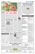 page13