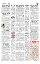 page11