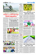 page5