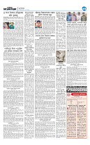 page11