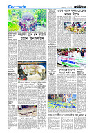 page13