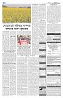 দেশজুড়ে
