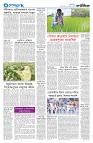 ঢাকা সংস্করণ